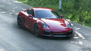 Porsche Cayman GTS 2015 [upl. by Rosalba236]