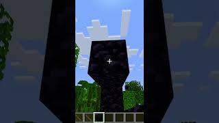 Immersive Portals Thing I Found minecraft [upl. by Deedee67]