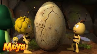 🍯🌹🌻 Willy in the egg  Maya the bee 🌻🌹🍯 [upl. by Airdnek]