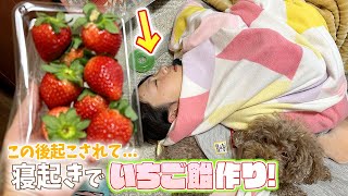 【タンフル作り】寝起きでいきなりいちご飴作り！久しぶりに作ったら過去イチでパリパリw🍓 [upl. by Kermie]