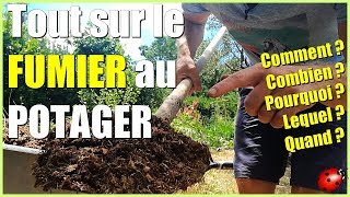 Le FUMIER au POTAGER  Tout savoir ou presque [upl. by Aisul]