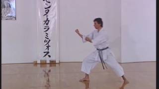 Shotokan  Heian Godan [upl. by Bearnard]