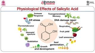 Salicylic acid [upl. by Reivaz]