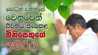 බෝධීන් වහන්සේ වෙනුවෙන් ජීවිතය කැපකල මිනිසෙකුගේ අසිරිය  Shraddha TV [upl. by Aikimat552]