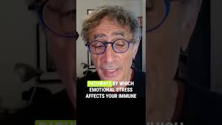 Dr Gabor Maté on the link between Trauma and Pain gabormate [upl. by Aphra]