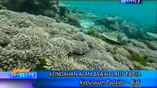 Keindahan Alam Bawah Laut Papua [upl. by Merla]