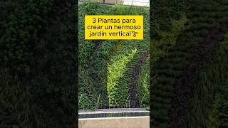 🚀Emprende con jardines verticales🌱 [upl. by Renruojos]