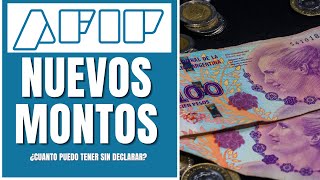 AFIP 🔥 ¿Cuanto dinero puedo tener sin declarar NUEVOS MONTOS ✅ [upl. by Fechter]