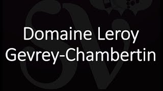 Best GevreyChambertin Wines Famous Wineries amp Producers [upl. by Buine]