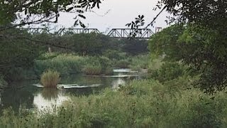 Kruger National Park from Olifants River to Skukuza  South Africa Travel Channel [upl. by Joon]