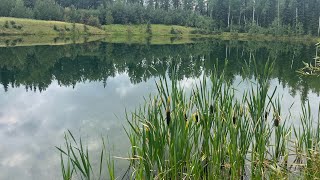 Lodgepole Trails  ATV [upl. by Jacinthe]