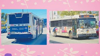 NJ Transit 10 BAYONNE JFK BLVD VIA PAMRAPO AVENUE NABI 41615 6048 [upl. by Ylim]