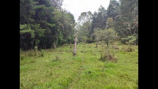 quotFinca en venta en Guarne perfecta para desarrollar proyectos de subdivisiónquot [upl. by Ardnnaed52]