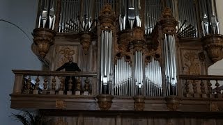 Clérambault  Caprice sur les grands jeux Suite du deuxième ton  Basilica di San Domenico Rieti [upl. by Radie558]