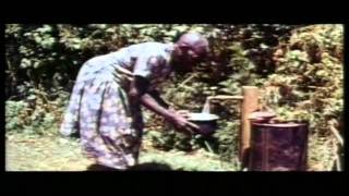 Documentary Wangari Muta Maathai 1940  2011 [upl. by Hteb570]