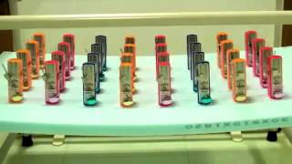 How long can these 32 metronomes swing in perfect sync [upl. by Aniala]