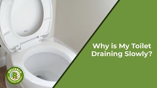 Why is My Toilet Draining Slowly [upl. by Krusche]