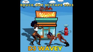 DAGGERING LADIES DANCEHALL MIX 2023 ROZE DON SpiceLincoln 3dotkartelAidonia yung bredda DJ WAVEY [upl. by Araiet812]