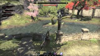 ESO Treasure Map Auridon II 2 [upl. by Snahc]