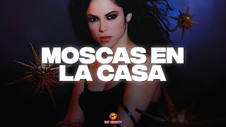 Shakira  Moscas En La Casa  Vídeo con letra [upl. by Aiehtela]