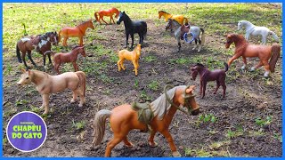 Fazenda de Brinquedo OS CAVALOS DA FAZENDA [upl. by Nayar]