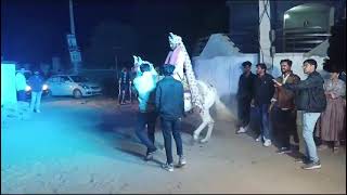 Ghodi Dance video ll Teja hoyo re diwano thare naam ro marwadi ghodidancevideo video viralvideo [upl. by Nosaes]