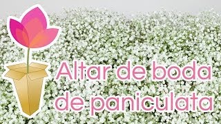 Cómo hacer un altar de boda de paniculata [upl. by Nahtad]