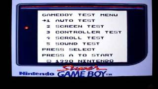 Nintendo Gameboy Test Cartridge [upl. by Annail]