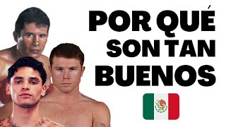 POR QUÉ son TAN BUENOS los BOXEADORES de MEXICO [upl. by Annitsirhc875]