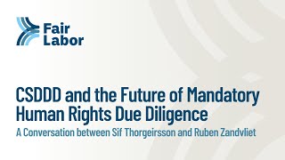 CSDDD and the Future of Mandatory Human Rights Due Diligence [upl. by Paff]