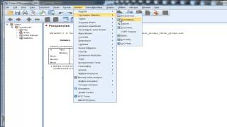 Mean Median Mode  SPSS [upl. by Gehman]