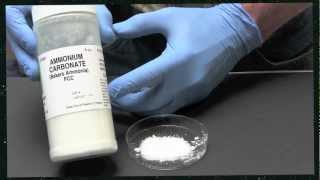 Where to Buy Food Grade Ammonium Carbonate Bakers Ammonia [upl. by Nodrog]