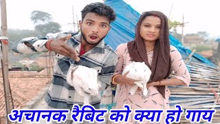 Rabbit ko Kya Ho Gaye  Hamara Rabbit Jkhami Ho Gaya [upl. by Gaelan]