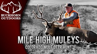 Buckhorn Outdoors  Mile High Muleys  Colorado Mule Deer Hunt [upl. by Erdei809]