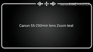 Canon 55250mm lens Vs Nikon 70300mm lens Zoom test Comparison videos  Nikon vs Canon [upl. by Ahtanoj260]