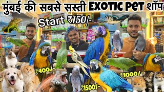 Start ₹150😱 सबसे सस्ती शॉप  Animals  Birds  cheapest Pet market in Mumbai  Wajid pet shop [upl. by Ilaire]