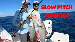 Offshore Fishing and Slow Pitch Jigging Almaco Jacks amp Tuna [upl. by Renato]