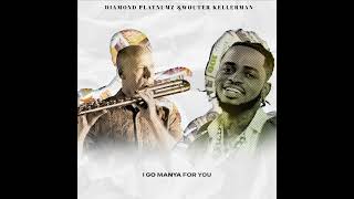 Diamond Platnumz amp Wouter Kellerman  Pounds amp Dollars Lyric Video [upl. by Conn244]