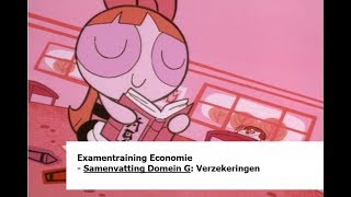 Examentraining Economie Samenvatting Domein G Verzekeringen [upl. by Latoyia518]