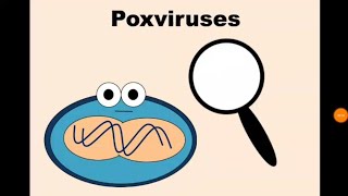 13 Poxvirus Smallpox Molluscum [upl. by Noret]