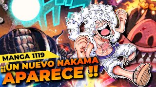 EL NAKAMA DE JOYBOY  ONE PIECE MANGA 1119 [upl. by Ariajay]