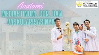 Anatomi mediastinum cor dan vaskularisasinya [upl. by Finlay]