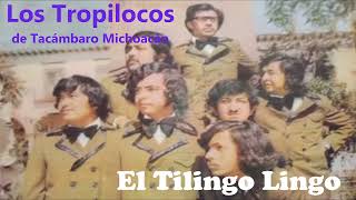 El Tilingo Lingo  Los Tropilocos [upl. by Rasla]