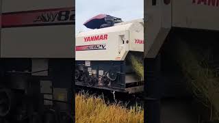 Amazing Harvester Machine 017 shortsviral viralvideo [upl. by Zurciram14]