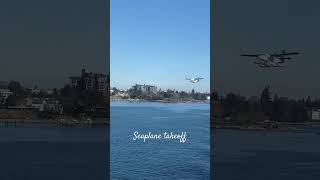 Seaplane takeoff from water plane rock water canada [upl. by Tegdirb478]