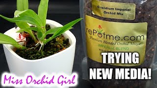 Trying Orchiata bark mix for Orchids from rePotme  Oncidium Imperial Mix [upl. by Kilbride]