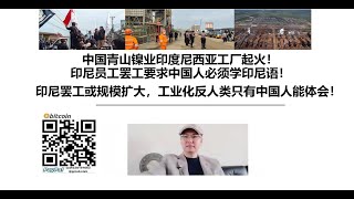 中国青山镍业印度尼西亚工厂起火！印尼员工罢工要求中国人必须学印尼语！印尼罢工或规模扩大，工业化反人类只有中国人能体会！ [upl. by Hukill752]