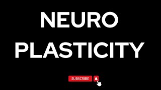 Neuroplasticity  How Your Brain Can Rewire Itself [upl. by Stav526]