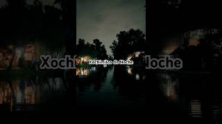 Xochimilco de noche es una experiencia única cdmx xochimilco trajineras [upl. by Suellen]