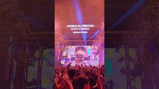 Galantis Live  Dandelion  2023 WDFWorld DJ Festival [upl. by Sparke]